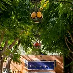 Paraiso Perdido Bed & Breakfast 4*
