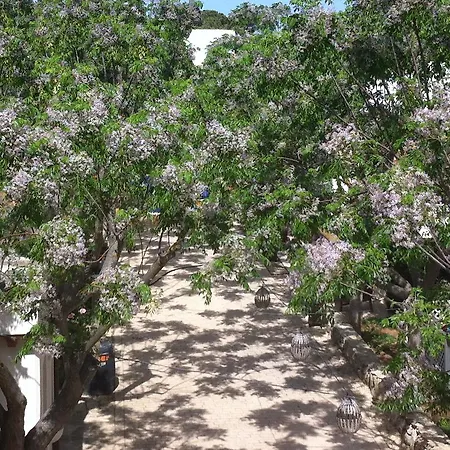 Paraiso Perdido 4* Коніль-де-ла-Фронтера