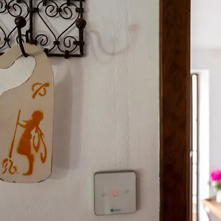 Bed and Breakfast Paraiso Perdido