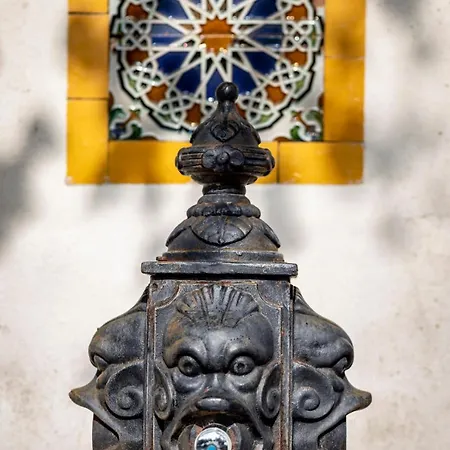 Paraiso Perdido Готель типу 