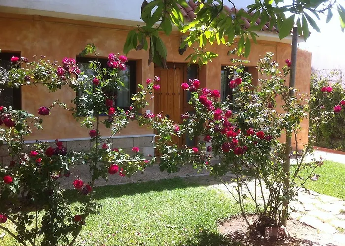 Paraiso Perdido 科尼尔-德拉弗龙特拉