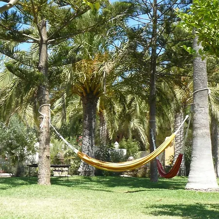 Paraiso Perdido