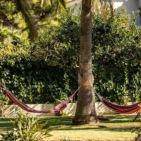 Paraiso Perdido 4*