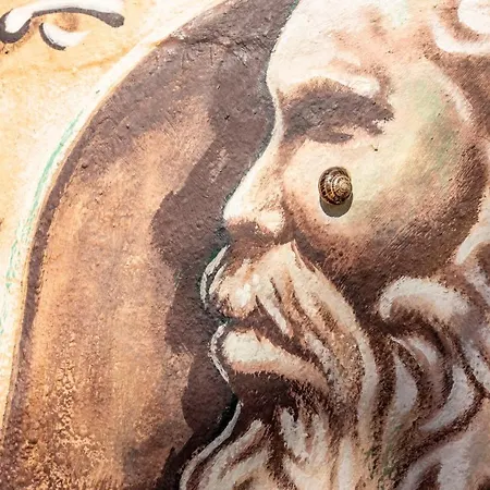 Paraiso Perdido 住宿加早餐酒店 科尼尔-德拉弗龙特拉