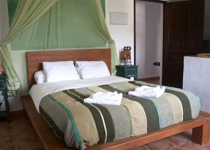 Bed & Breakfast Paraiso Perdido Conil De La Frontera