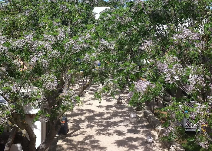 Paraiso Perdido 4* Conil De La Frontera